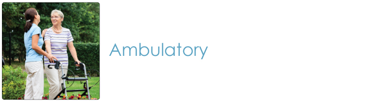 Ambulatory Products Category | Ambulatory Supplies